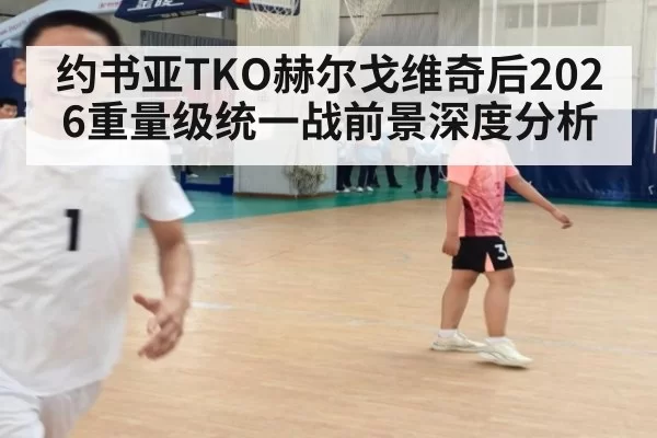 约书亚TKO赫尔戈维奇后2026重量级统一战前景深度分析